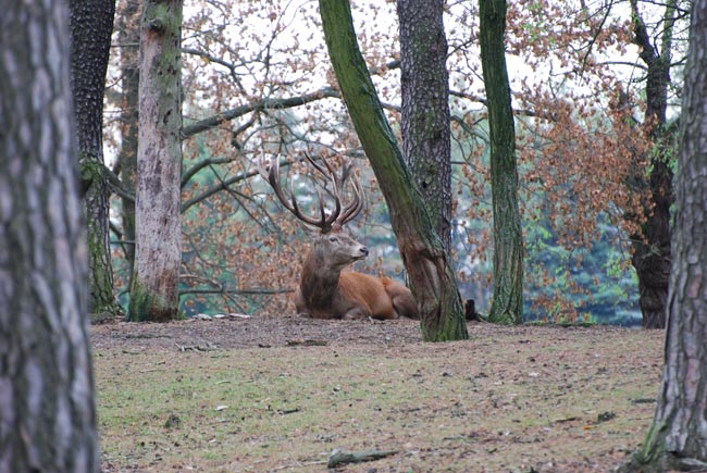 DSC_3608.jpg