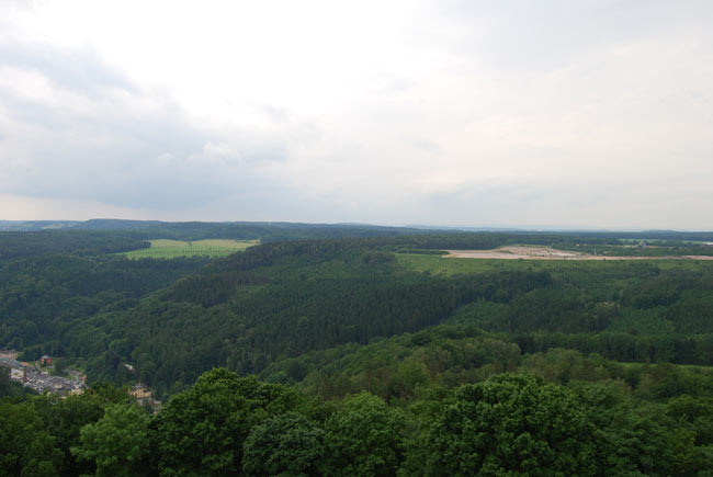 DSC_4502.JPG